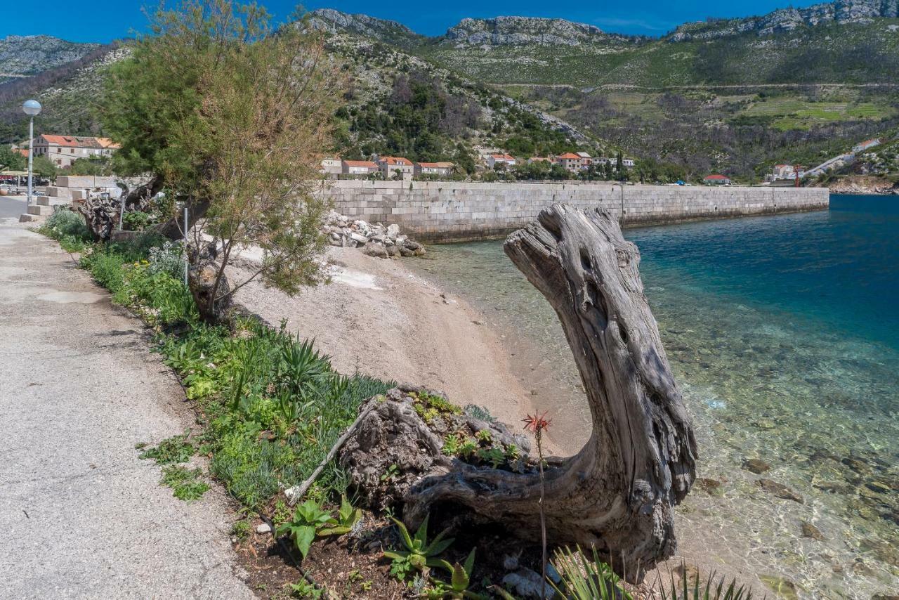 Apartment Matijas Trstenik  Buitenkant foto